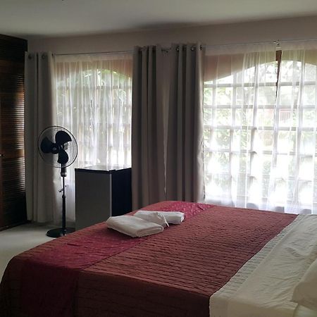 Hotel Portal Colonial San Jose  Ngoại thất bức ảnh